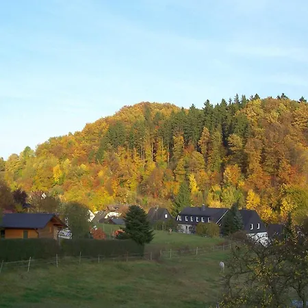 Im Sauerland Hillside Apartment *