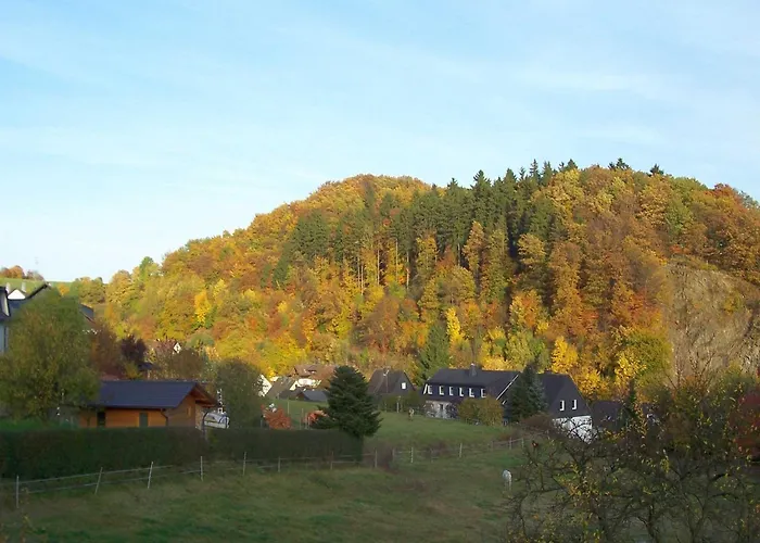 Im Sauerland Hillside شقة *